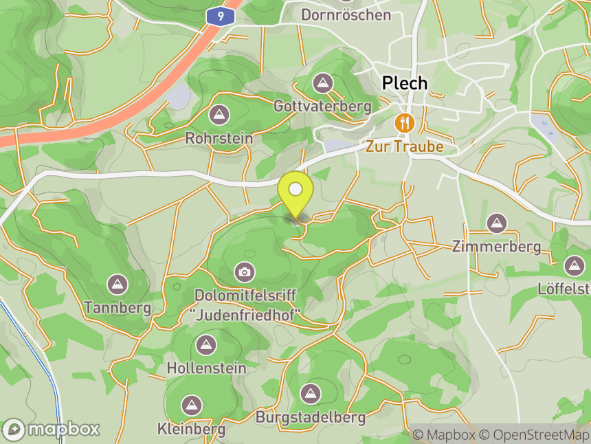 Plecher Turm