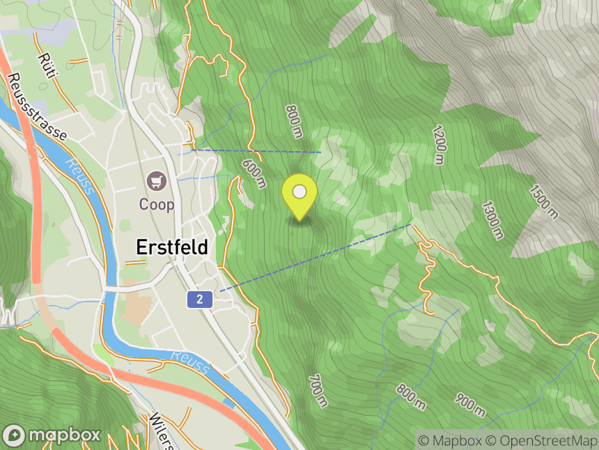 Efeu