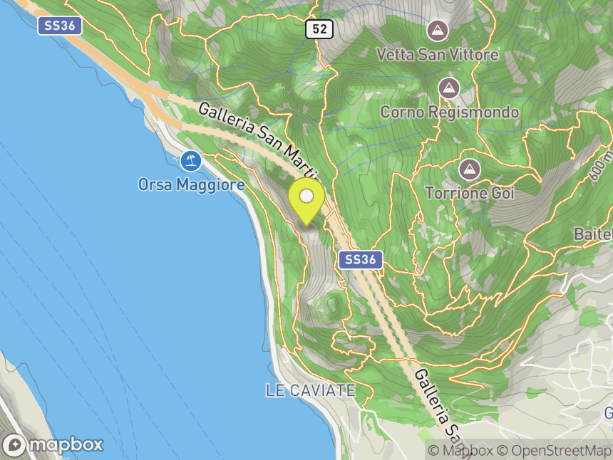 Lariosauro