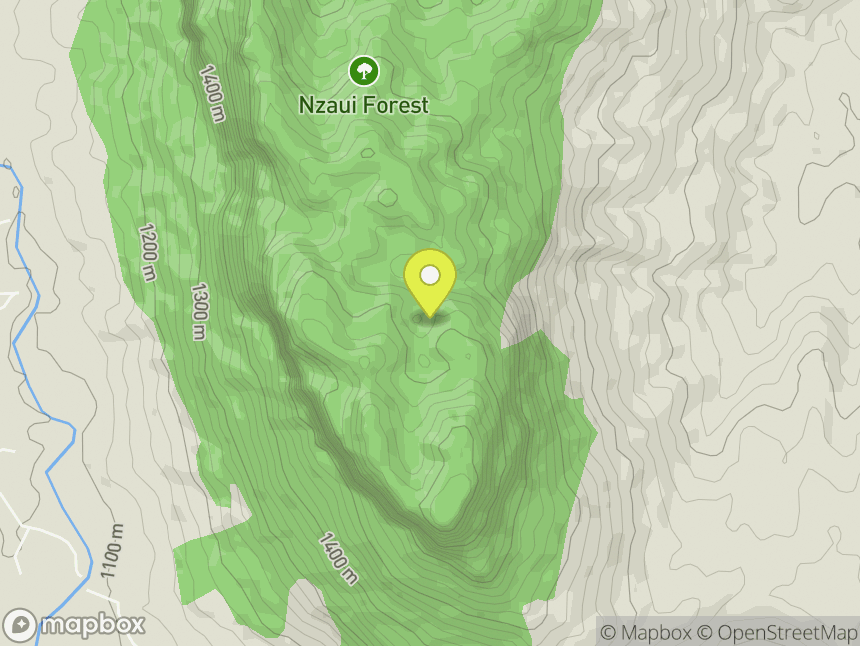 Nzaui