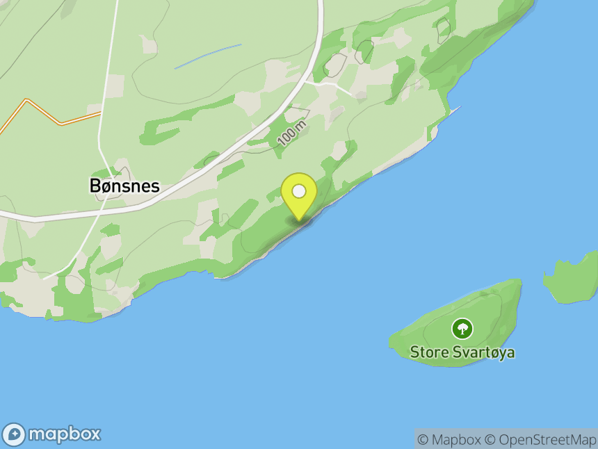 Bønsnes
