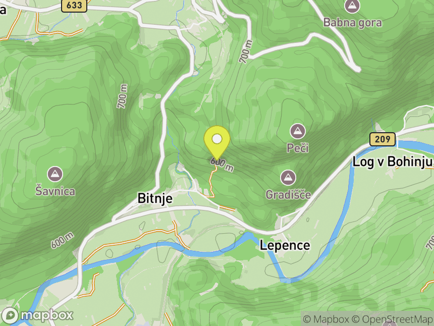 Bitnje