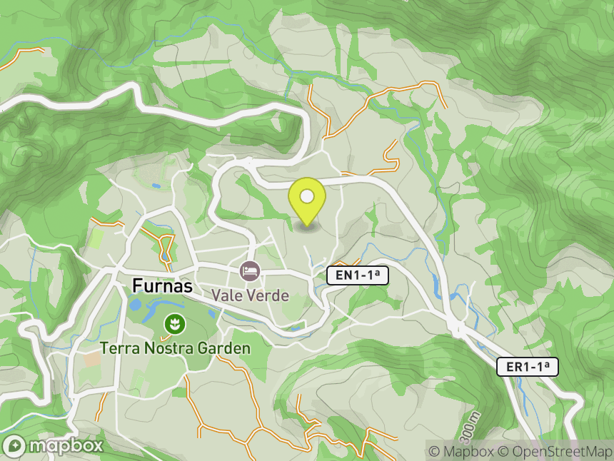 Furnas 37