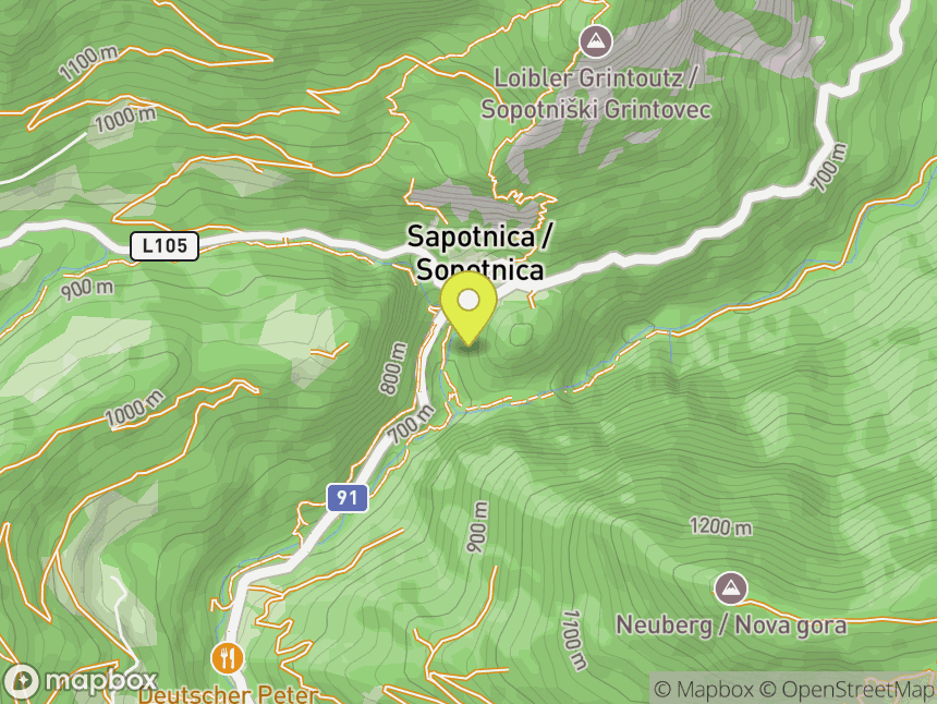 Sapotniza