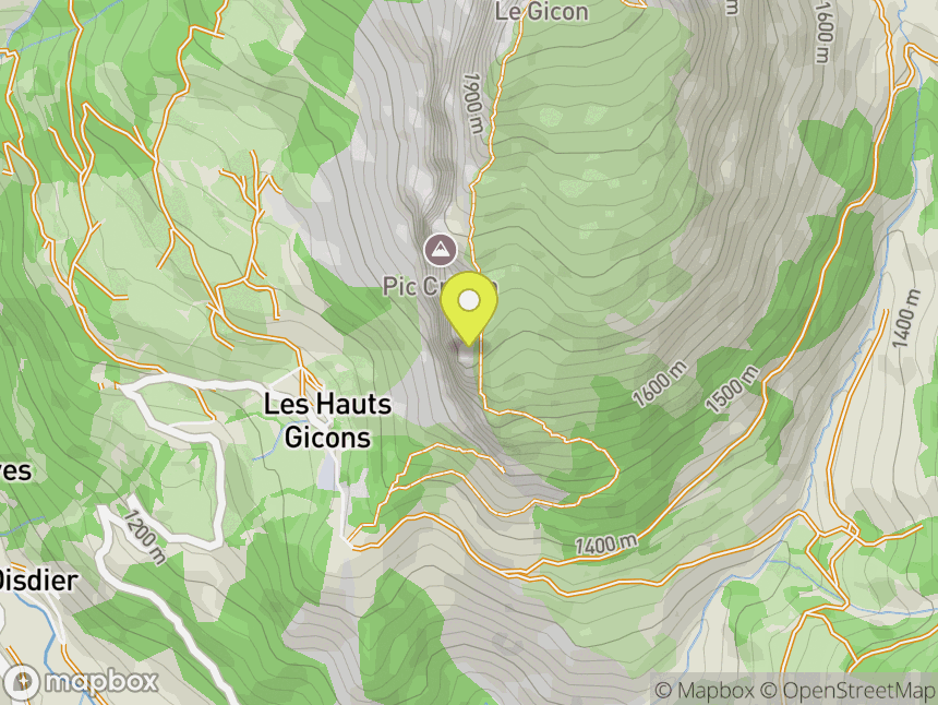 Les Gicons
