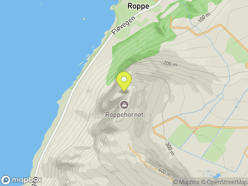 Roppehornet