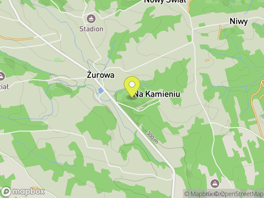 Żurowa