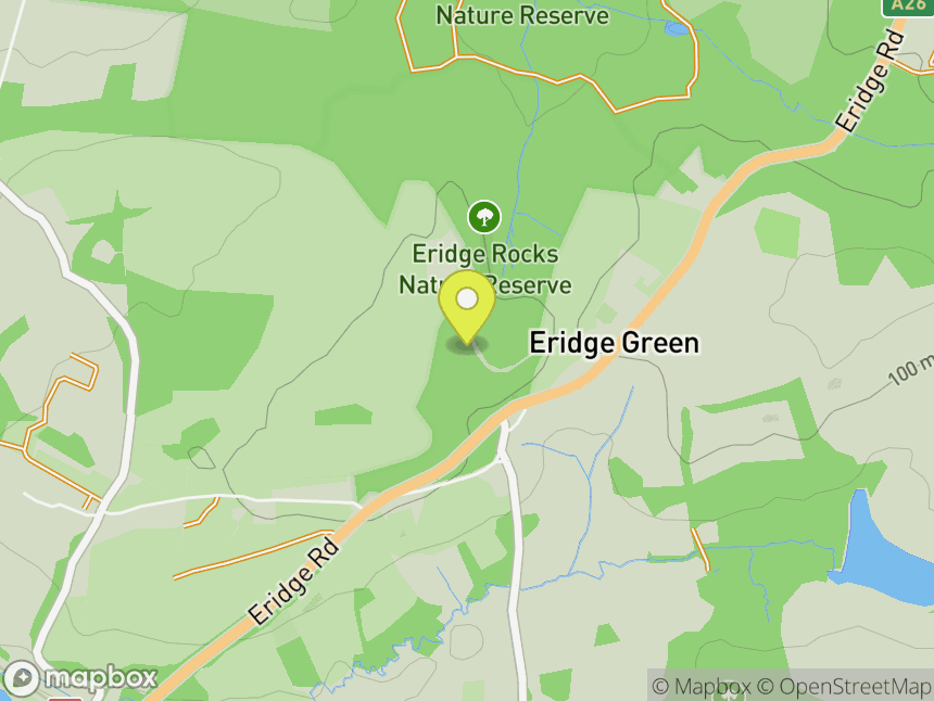 Eridge Green Rocks