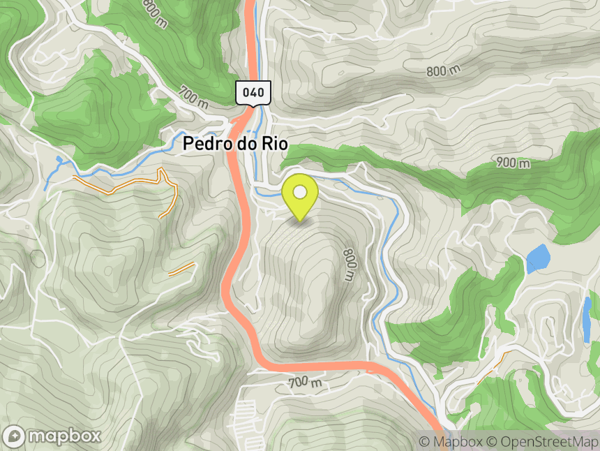 Parede de Pedro do Rio