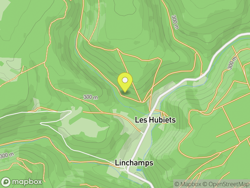 Roche aux Corbeaux (Linchamps)