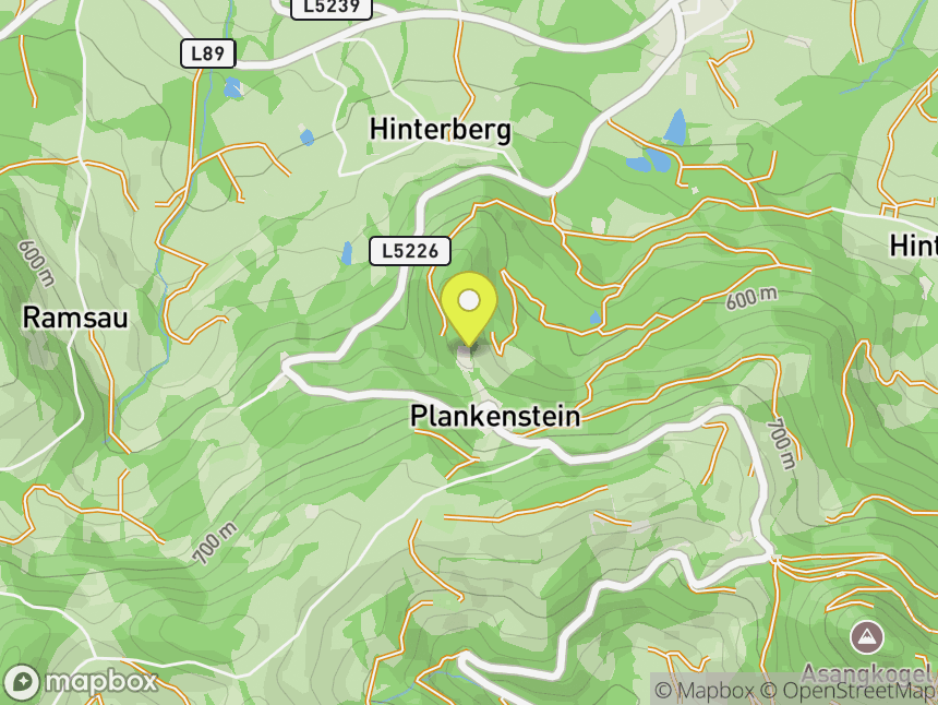 Burg Plankenstein