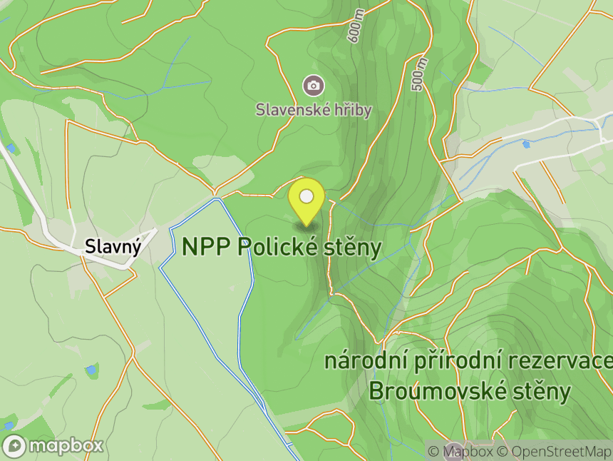 Šáša