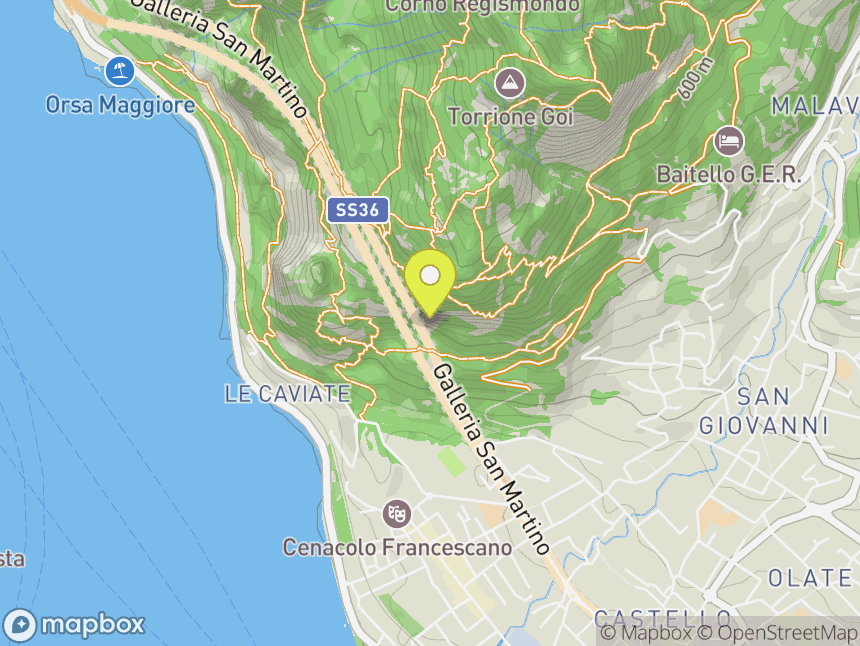Pala del San Martino