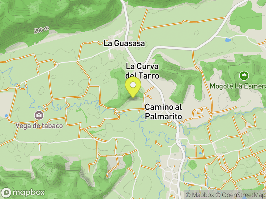 Mogote Palmarito