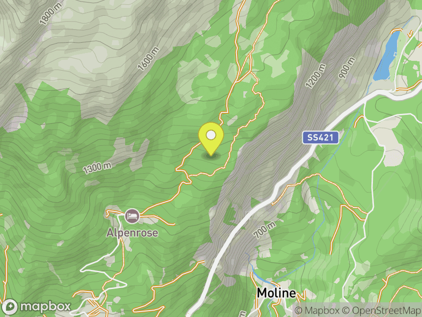 Alpenrose