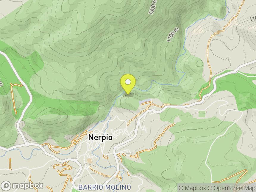 Nerpio