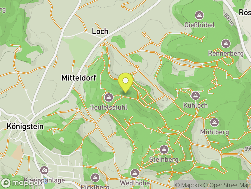 Steinbergpilz