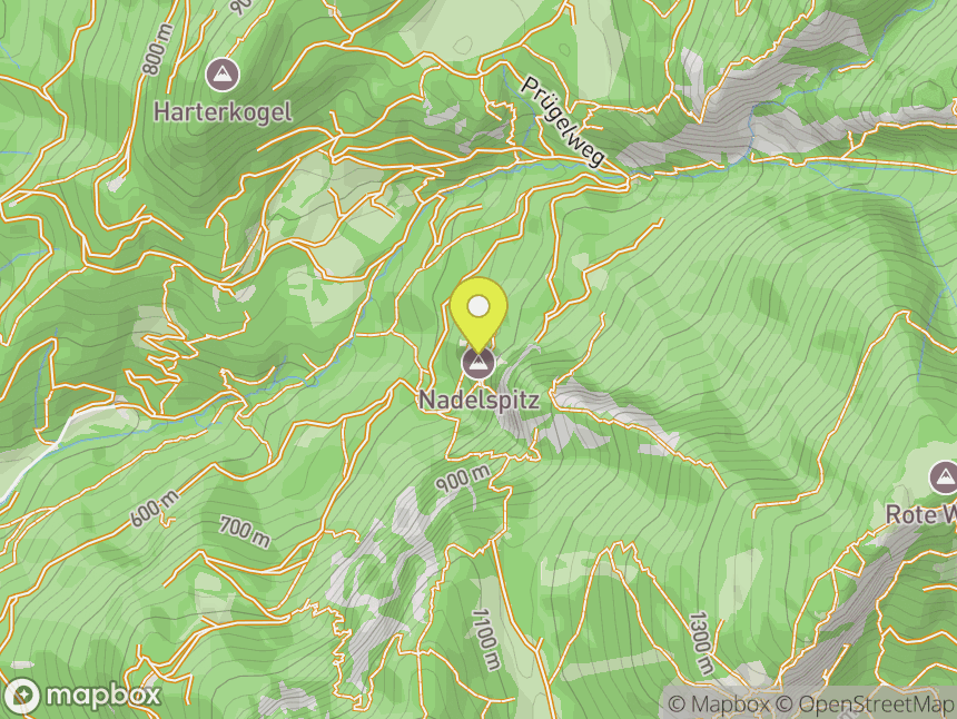 Nadelspitz