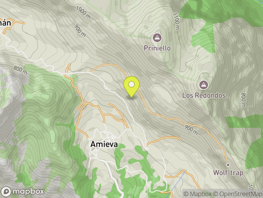 Amieva