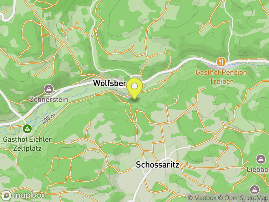 Wolfsberger Nadel