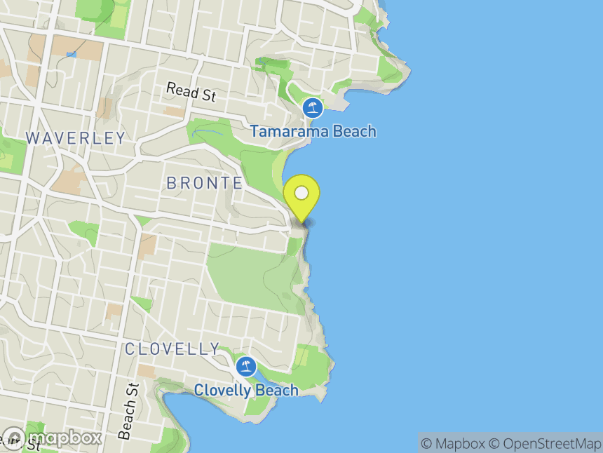 Bronte Cutting