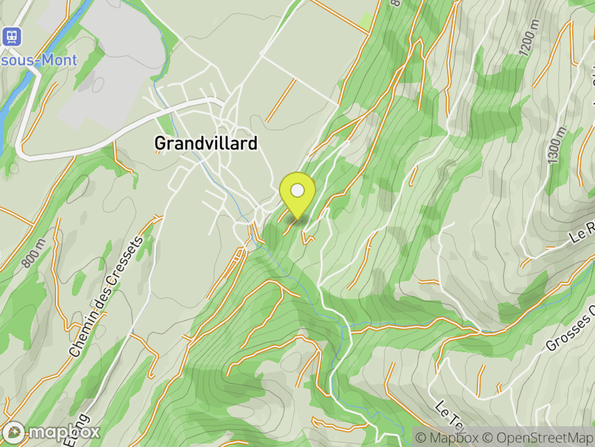 Grandvillard