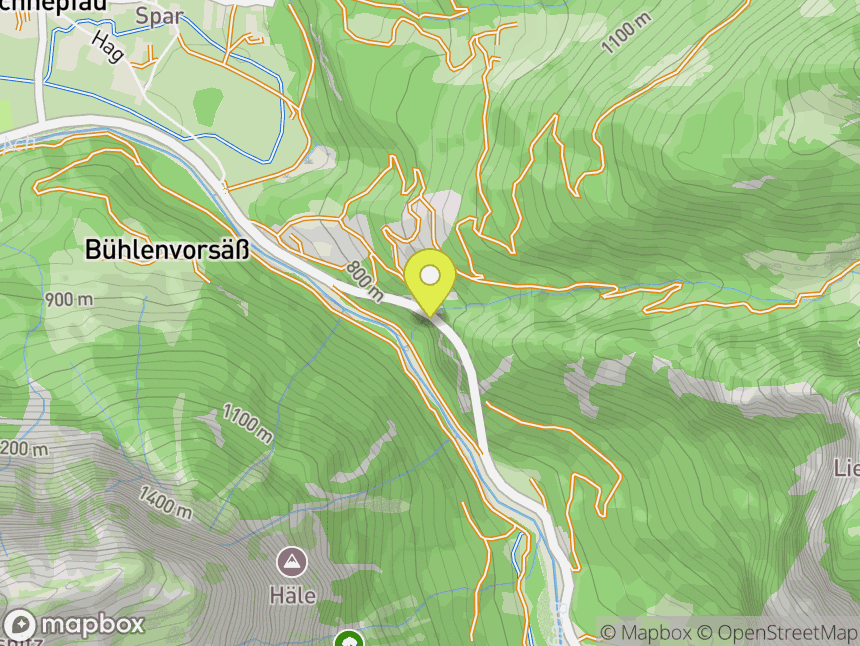 Schnepfauer Wald