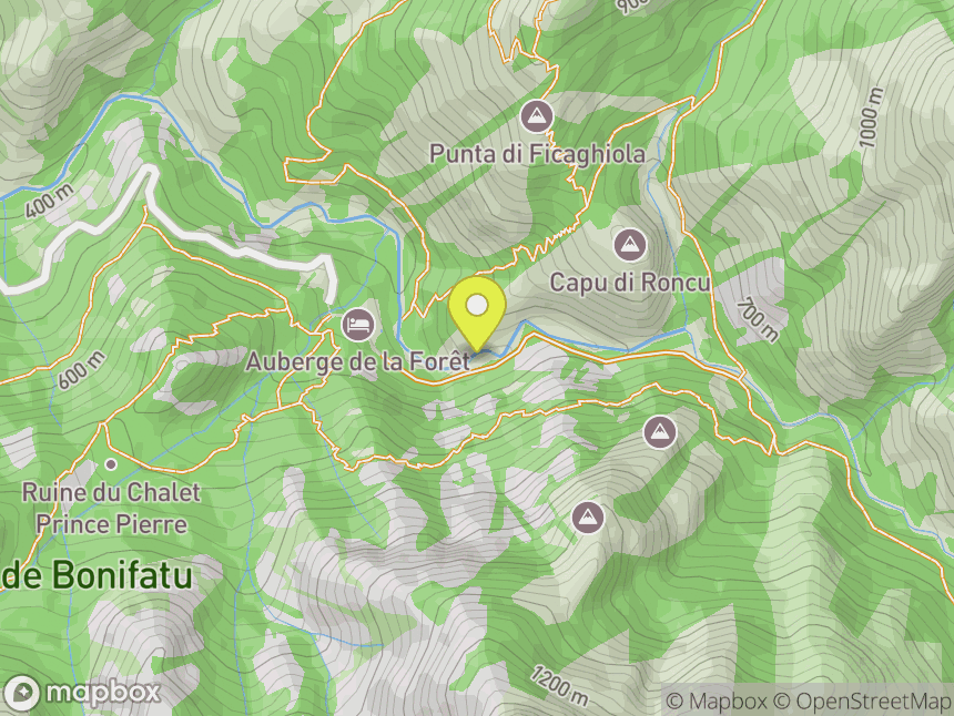 Bonifatu