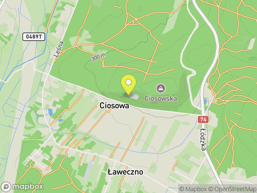 Ciosowa