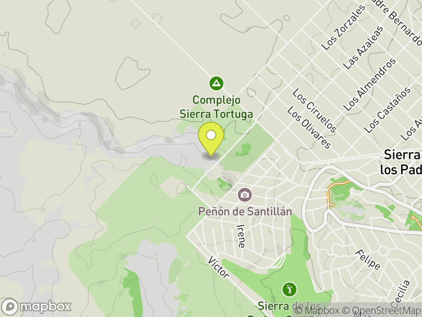 Plaquitas del bosque