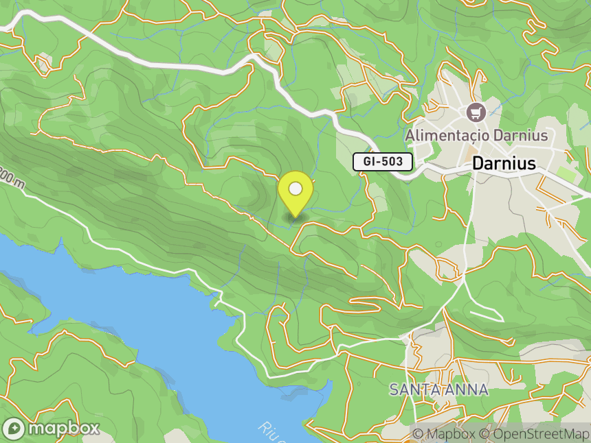 Darnius