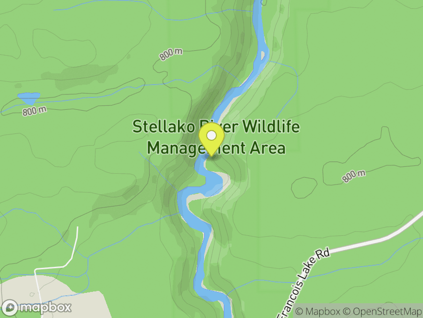 Stellako