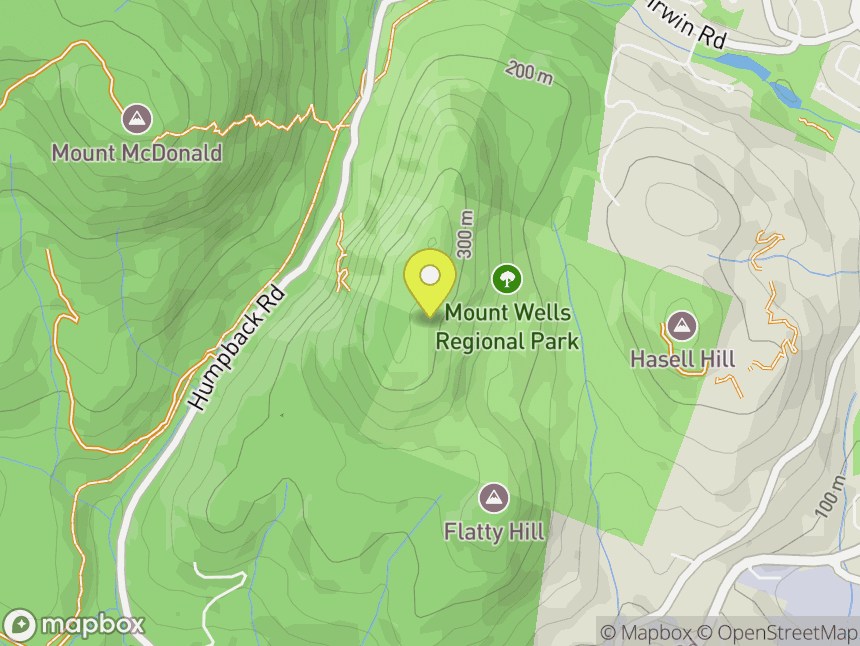 Mt. Wells