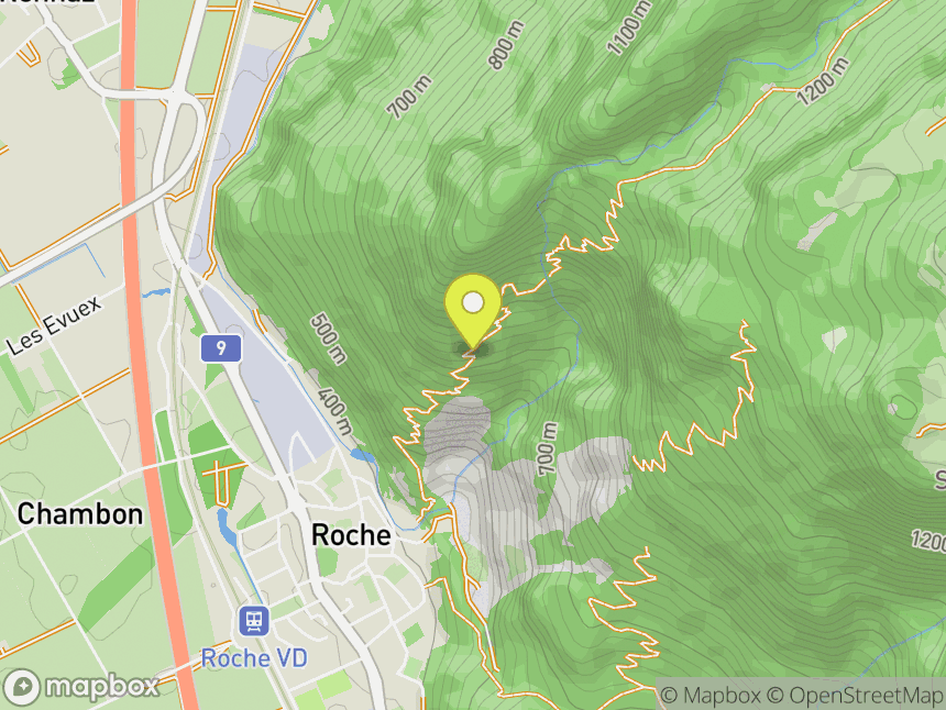 Roche