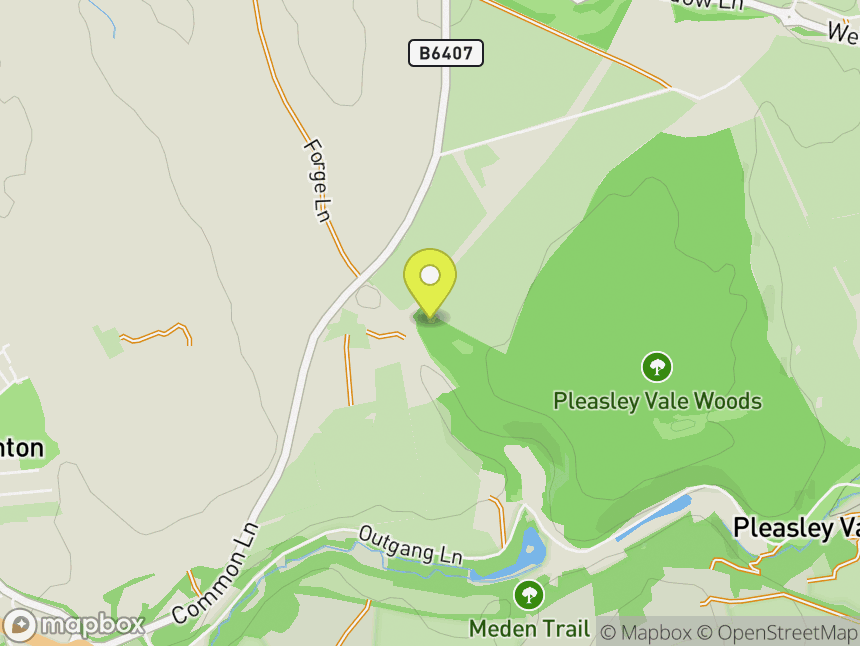 Pleasley Park Quarry