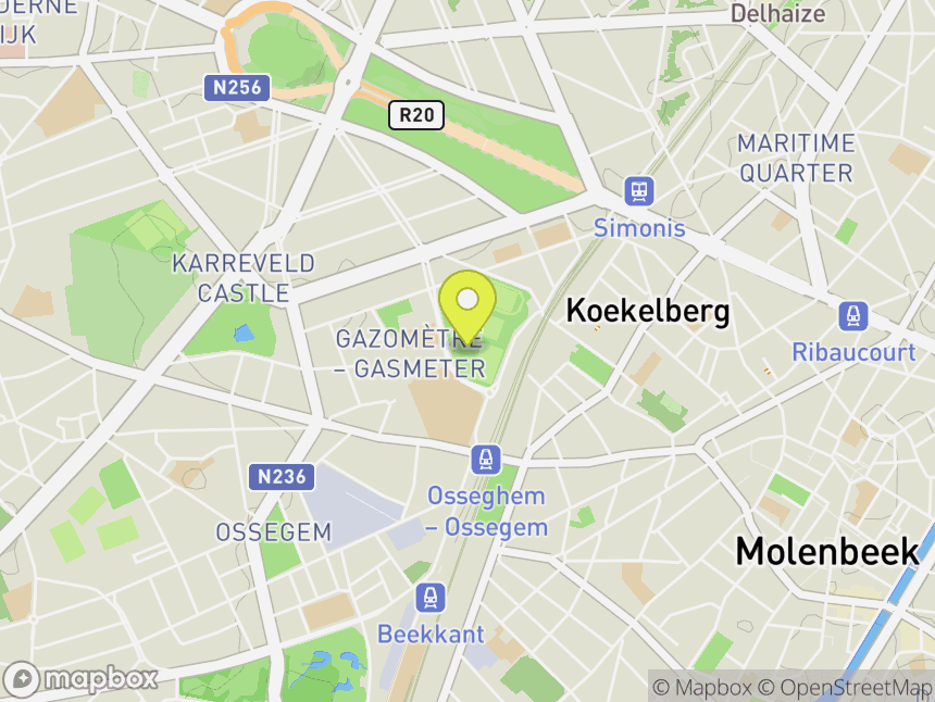 Brussels Monkeys Climbing