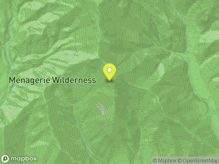 Menagerie Wilderness