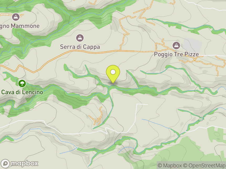 Lucertola