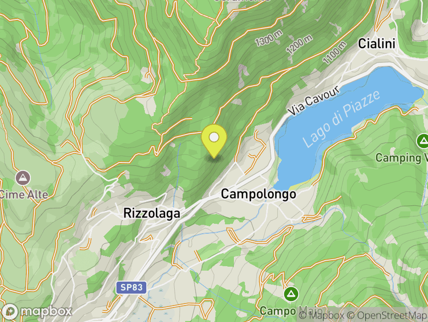 Rizzolaga