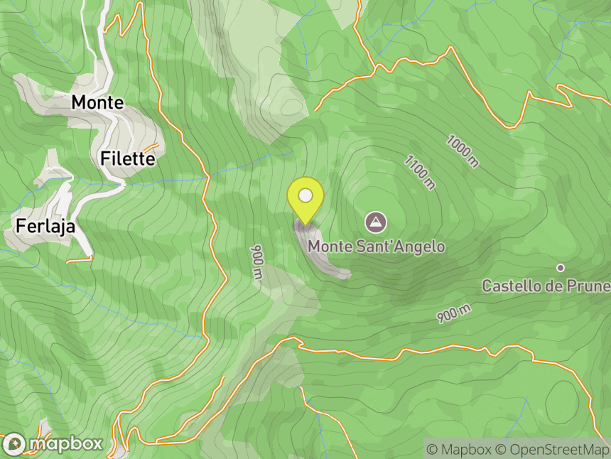 Monte