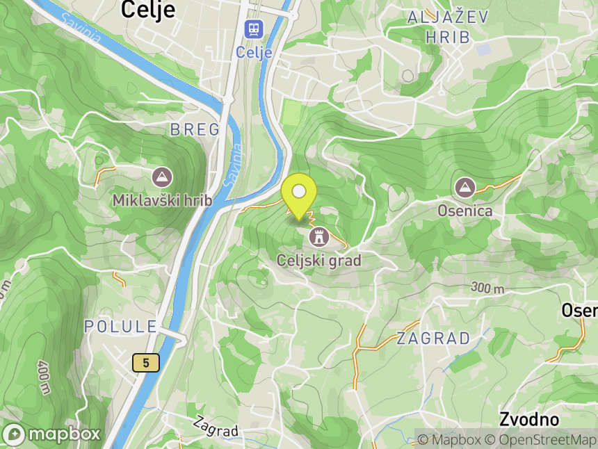 Celje Castle