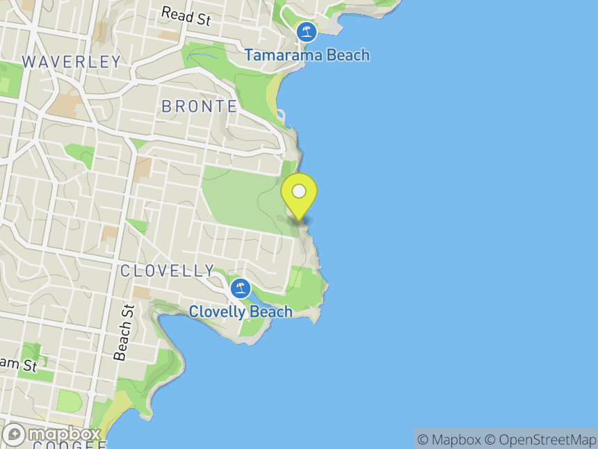 Bronte