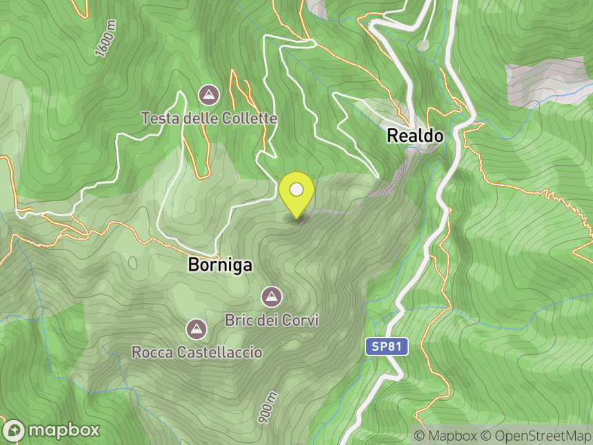 Placche di Borniga