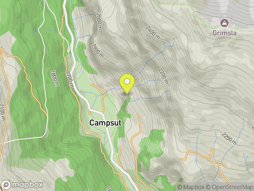 Campsut