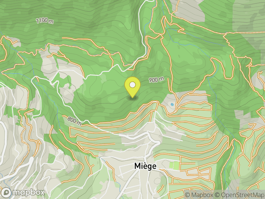 Miège