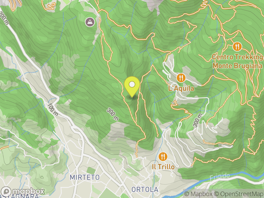 Bergiola
