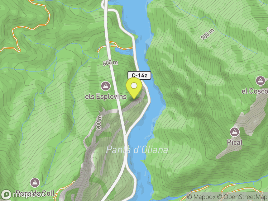 Paret Bucòlica