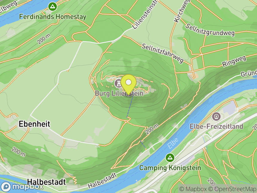 Liliensteinnadel