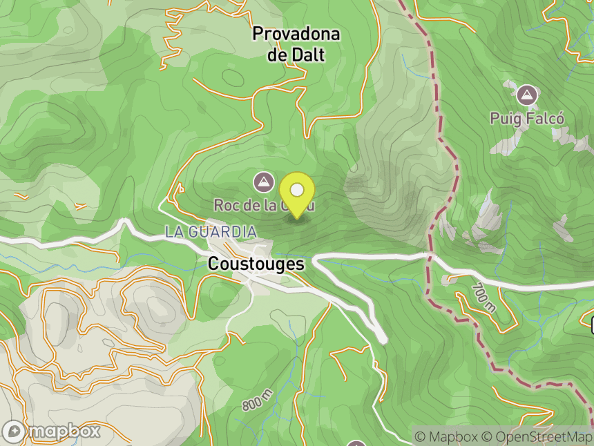 Costoja