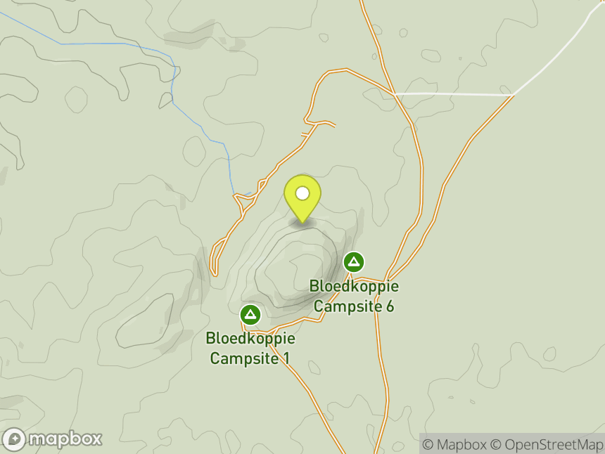 Blutkuppe